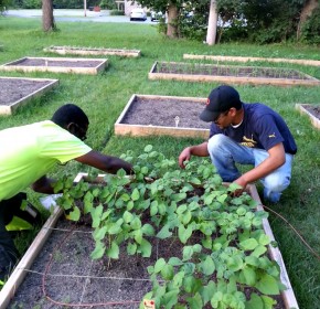 Doing Good: A Seed Grows in Columbus - An Organic, Urban Garden Feeds a Community's Growth