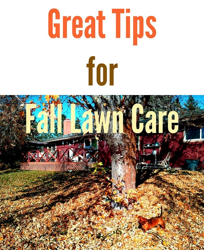 Great Tips for Fall Lawn Care | UrbanNaturale