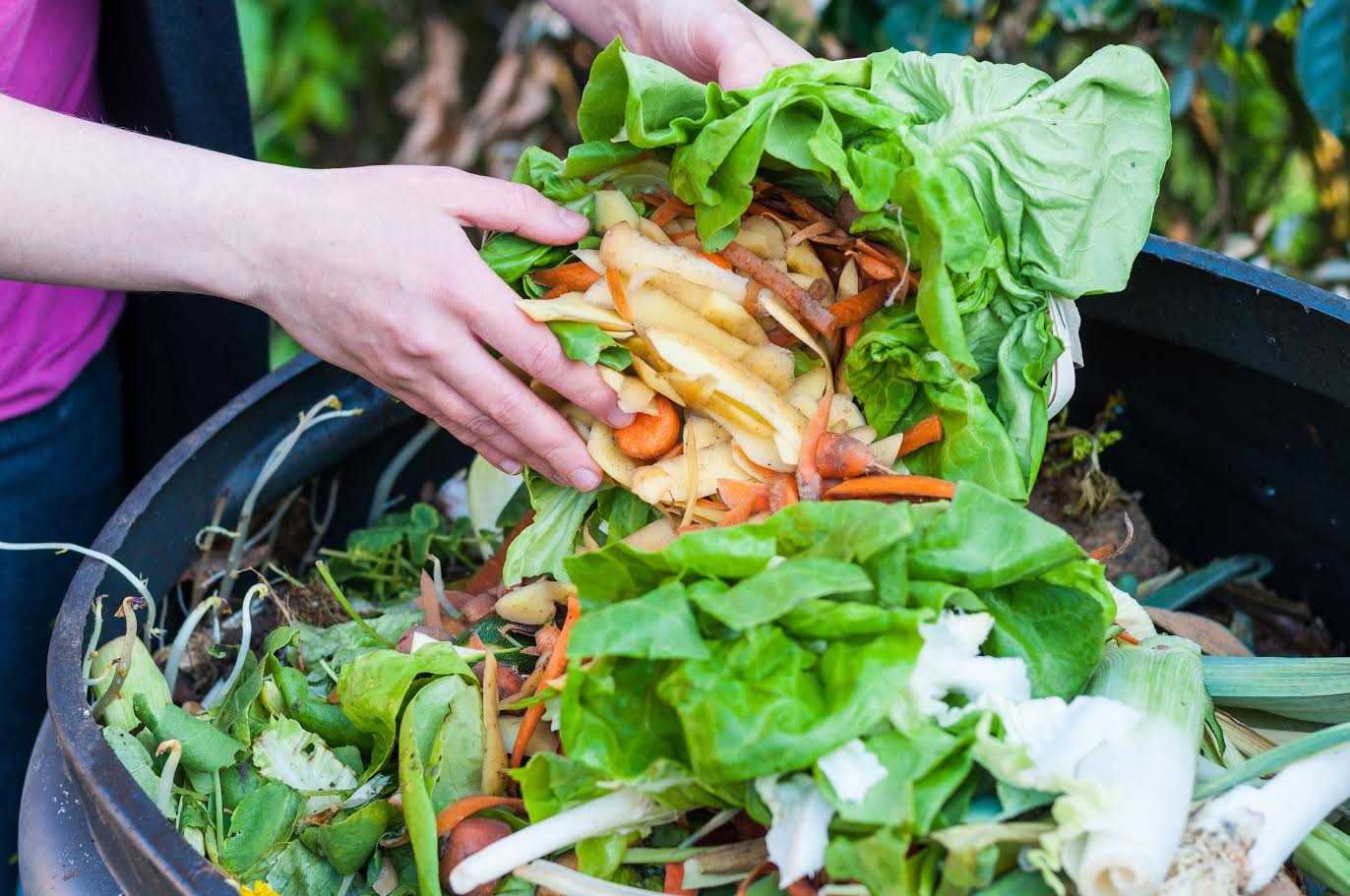 11 simple ways to recycle kitchen organic waste