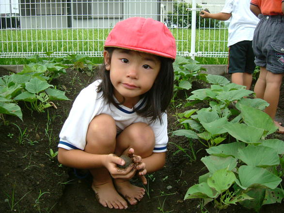 gardening garden girl freeimages kids compost eco friendly direct make grassroots grants submission gro open vegetables growing fruit larger