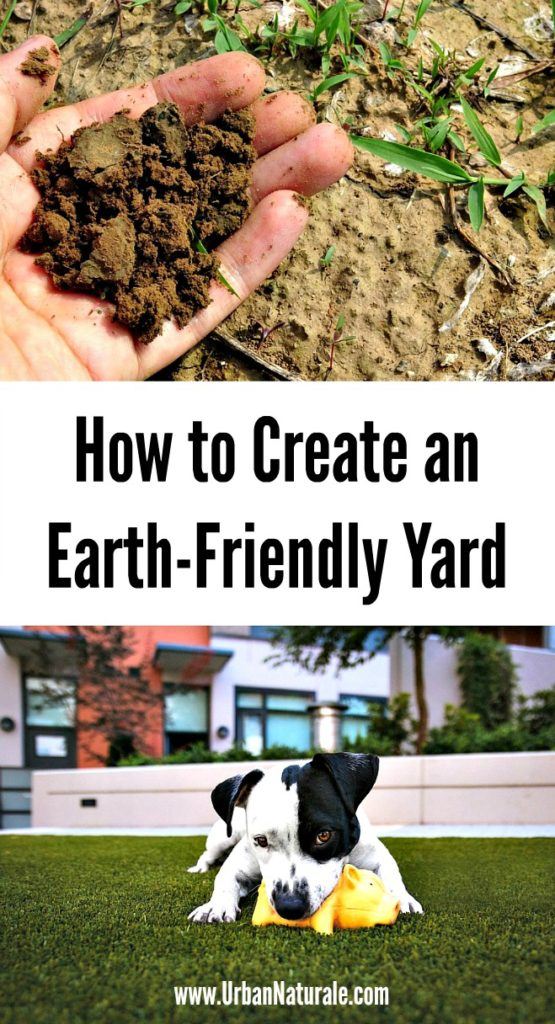 How to Create an Earth-Friendly Yard