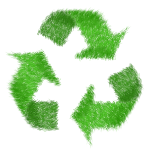 Tips for Disposing of Waste the Environmentally Friendly Way