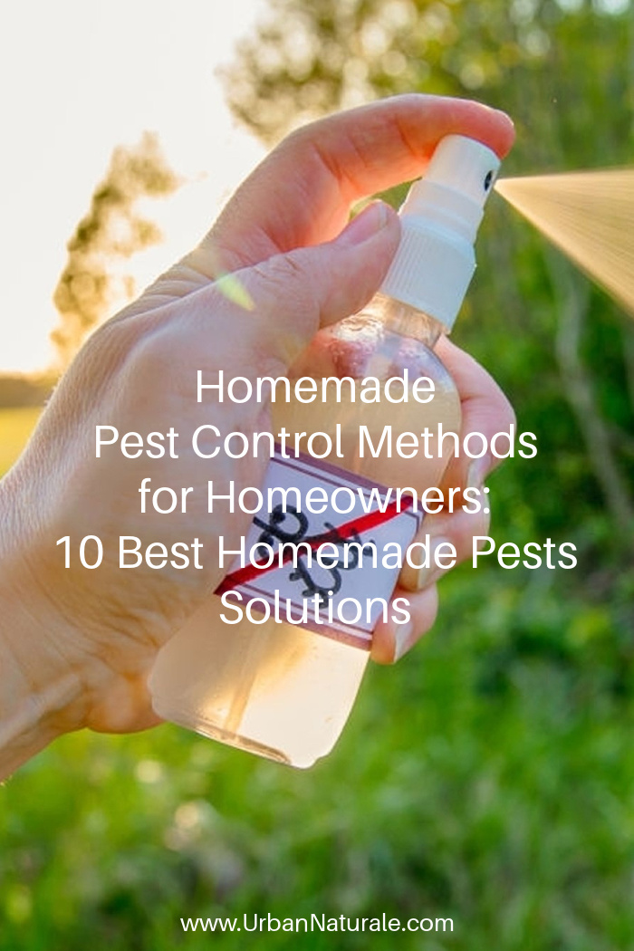Homemade Pest Control Methods for Homeowners: 10 Best Homemade Pests Solutions - Homemade pest control solutions are cheap and handy. They are also safe for humans and the environment. Here are some of the best homemade pest control methods for homeowners -- some of which can be found in your own pantry. #homemadepestcontrol #homeowners   #homemadepestcontrol solutions  #pests  #insects  #bugs  #naturalpestcontrol   #DIYpestcontrol
