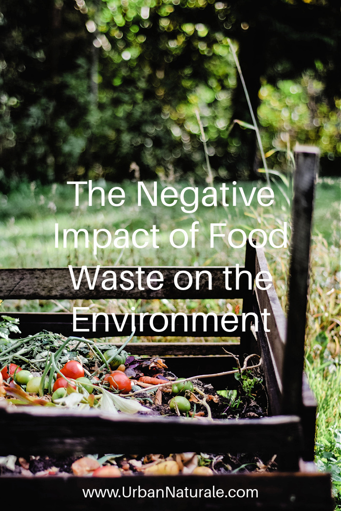 The Negative Impact of Food Waste on the Environment - There’s no denying that food waste is one of the biggest problems that modern society faces. Managing waste that comes from excess food is extremely important for the environment. #food  #waste  #foodwaste  #excessfood  #environment  