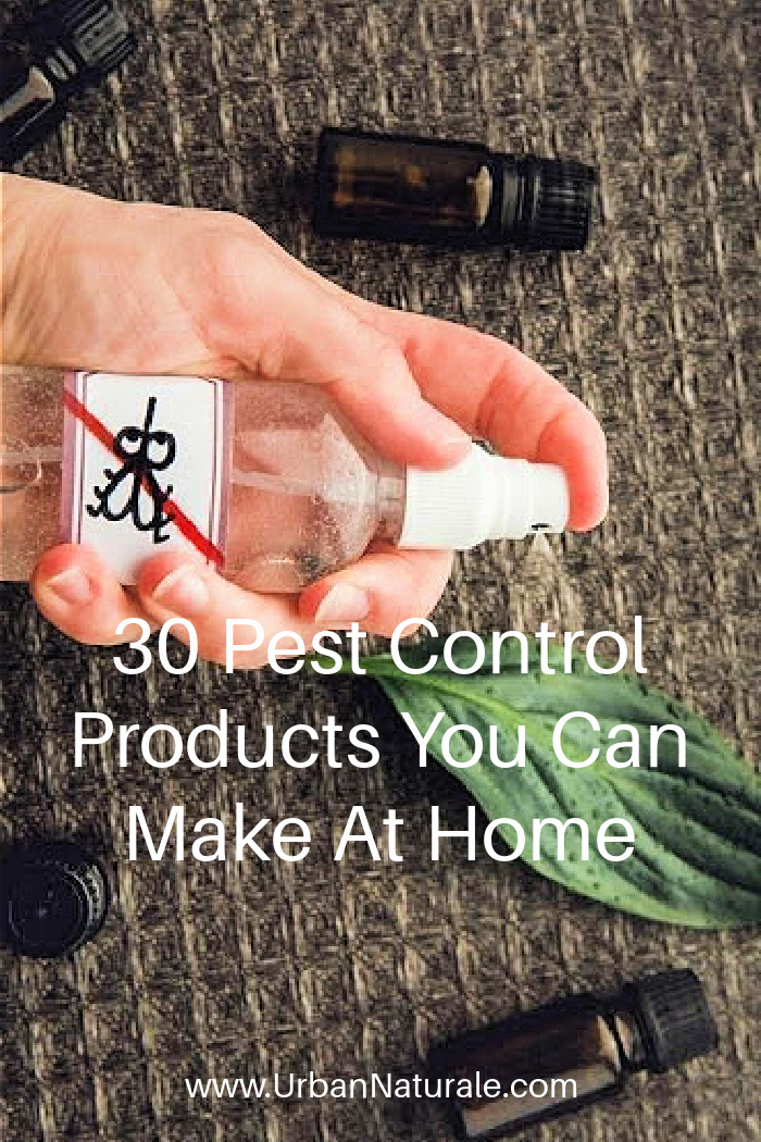 30 Pest Control Products You Can Make At Home - Some of the chemicals employed by pest control services can be toxic to humans and pets, so consider using some of these natural home remedies. They are not only natural and safer than commercial products, they are just as effective and cheaper. #PestControl #naturalhomeremedies  #naturalpestcontrolproducts  #naturalpestcontrol  #diypestcontrol