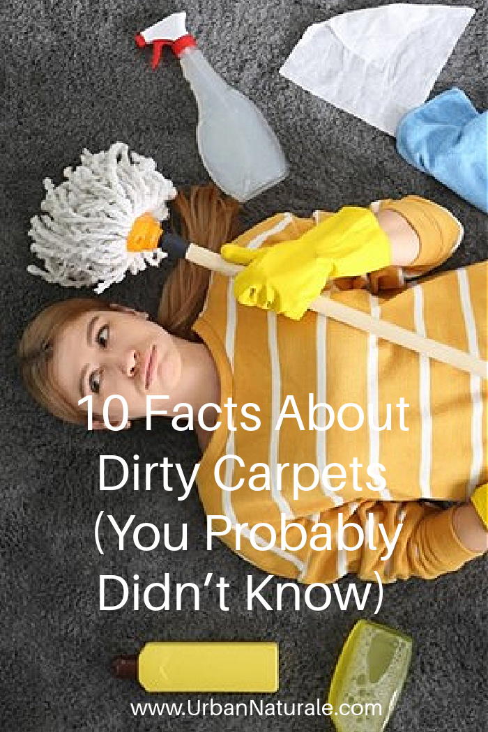 10 Facts About Dirty Carpets (You Probably Didn’t Know) - Did you know that carpets can hold as much dirt as their weight? A dirty carpet holds millions if not billions of pathogens that can ruin your family and pets, so, always keep your carpet clean lest you face the wrath of allergens and pathogens. Here are some surprising facts you didn’t know about dirty carpets. #carpets  #dirtycarpets  #cleaningcarpets  #carpetgerms #carpetcleaning 
