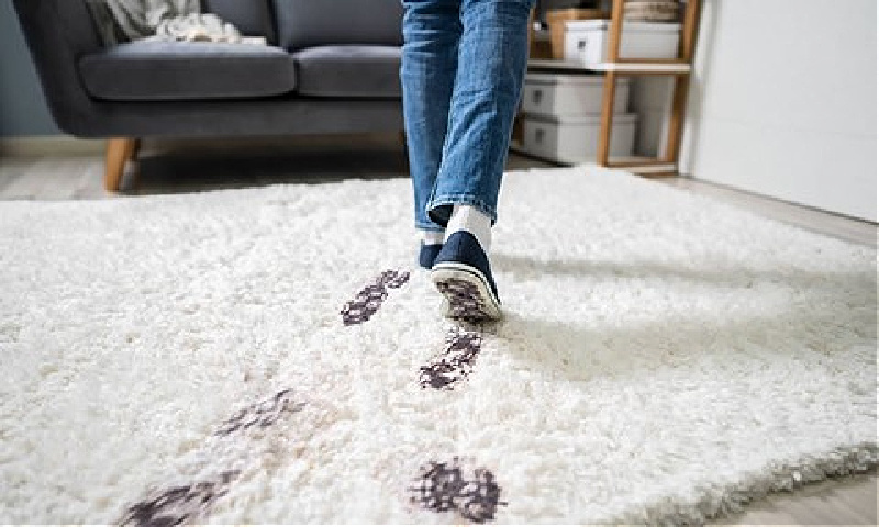 10 Facts About Dirty Carpets (You Probably Didn’t Know)