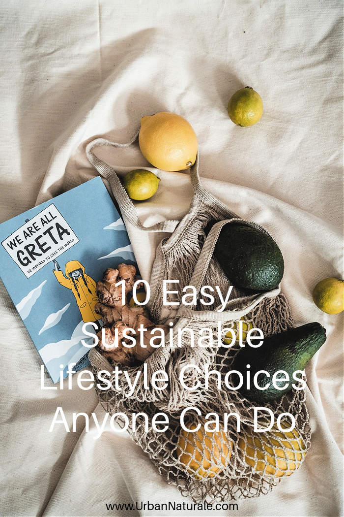 10 Easy Sustainable Lifestyle Choices Anyone Can Do - If you are looking for simple ways to live a greener lifestyle, you’re in luck. Here are 10 easy sustainable lifestyle choices anyone can do to help reduce your carbon footprint and work toward protecting the environment.  #sustainable  #sustainablelifestyle  #ecofriendly  #livinggreen  #environment 