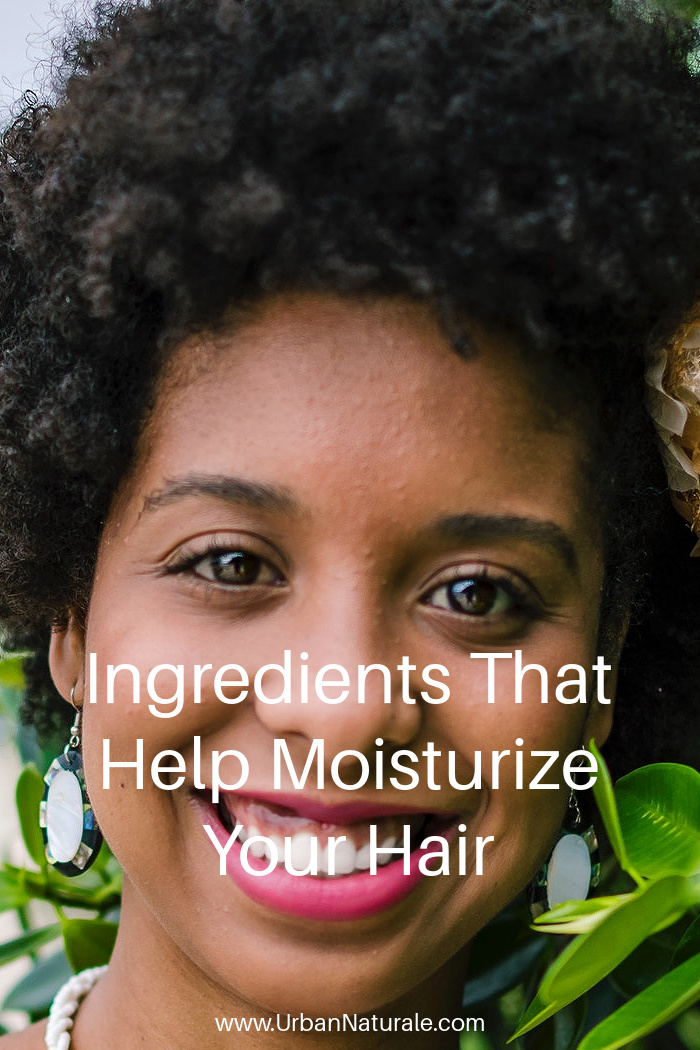 Ingredients That Help Moisturize Your Hair  -  If you suffer from dry or damaged hair, you probably want something to help moisturize your strands. Particular ingredients help make your hair healthier and more moisturized. Here are those ingredients and why they are beneficial for your hair. #hair  #haircare  #hairmoisturizers  #healthyhair