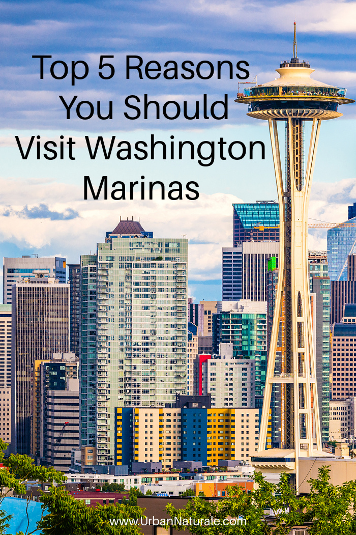 Top 5 Reasons You Should Visit Washington Marinas - Washington marinas offer so many places you can visit, activities to take part in, cultures to learn about, and delicacies to taste.  To enjoy your vacation, here are the top reasons why you should visit the Washington marinas. #washington  #washingtonmarinas  #marinas  #seattle  #nationalparks  #tourism  #travel