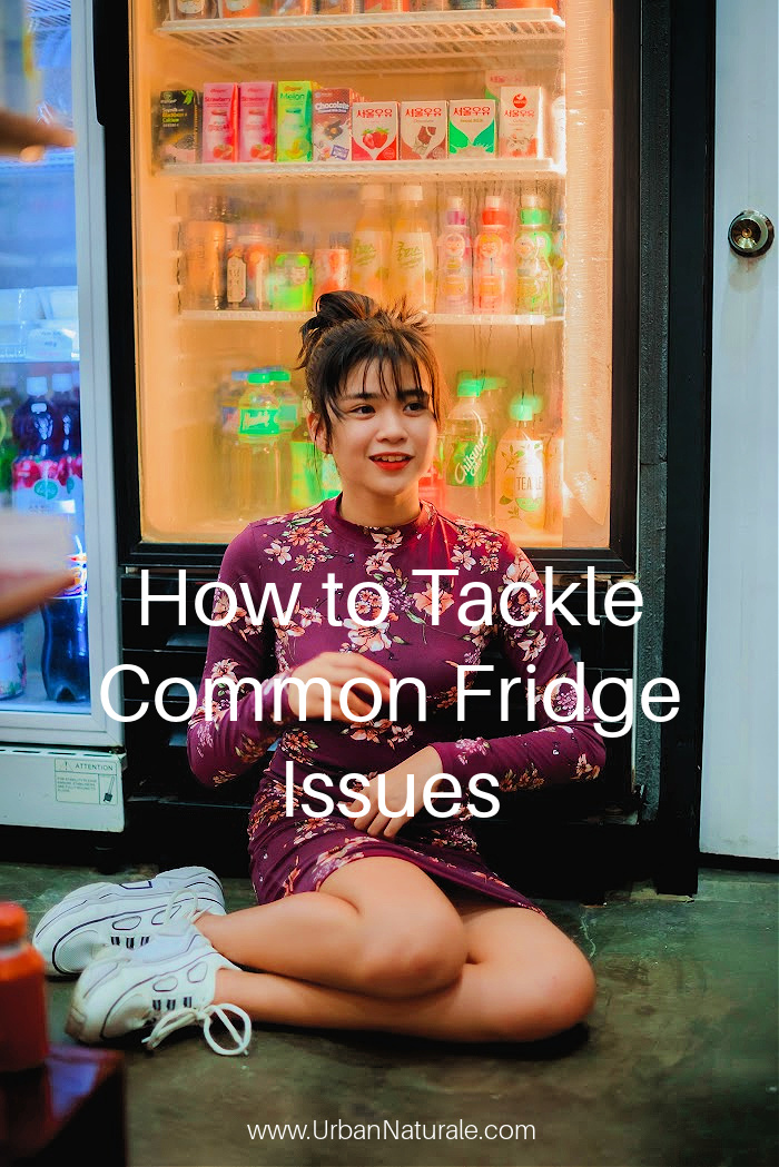 How To Tackle Common Fridge Issues - Fridge not cooling enough; fridge is making strange noises; fridge smells bad or fridge leaking water? By troubleshooting these common fridge issues, you can save time and money and also achieve better energy efficiency after fixing the issues. #fridge  #refrigerator  #fridgeissues  #energyefficiency