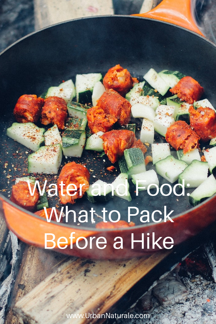 Water and Food: What to Pack Before a Hike - Bringing the right equipment and amounts of food and water to last your trip’s duration is a must whenever you’re going on a hike if you want it to be as successful and safe as possible. Here are some tips for foodstuff and water you need to pack for your hike.  #hike  #hiking  #hikingneeds  #hydration  #hikingfood  #waterfiltration