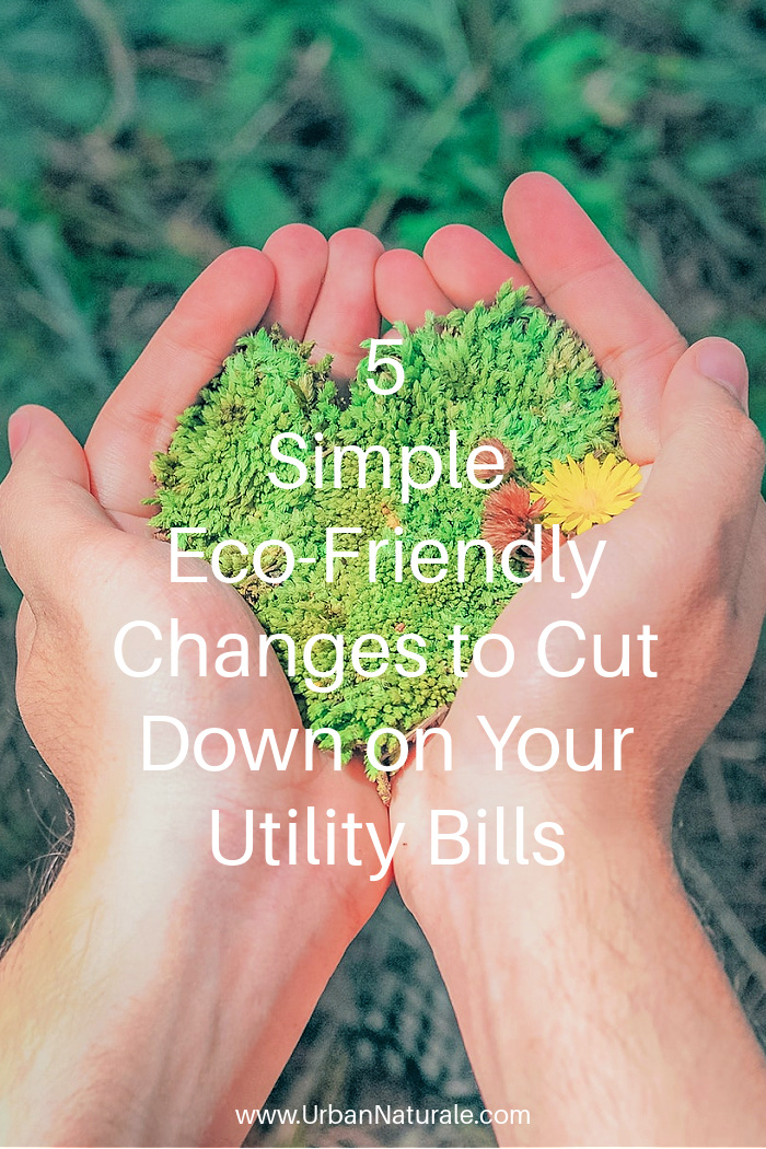 5 Simple Eco-Friendly Changes to Cut Down on Your Utility Bills - It is important to find eco-friendly ways to support change right in your own home. These methods can simultaneously help  Mother Earth and cut down tremendously on your utility bills. Here are five simple sustainability tips to cut down on your bills and your damage to the planet. #ecofriendly  #utilitybills  #sustainable  #plant  #greenliving 