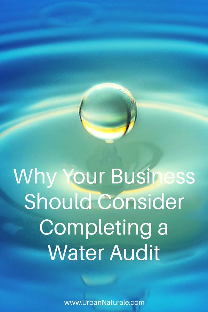 Why Your Business Should Consider Completing a Water Audit - A water audit provides numerous benefits and saves precious time and money. And you’ll be doing the environment a huge favor by doing your part to conserve water. These five reasons show why you should consider a water audit for your small business. #water  #wateraudit  #savingwater  #protecttheenvironment  