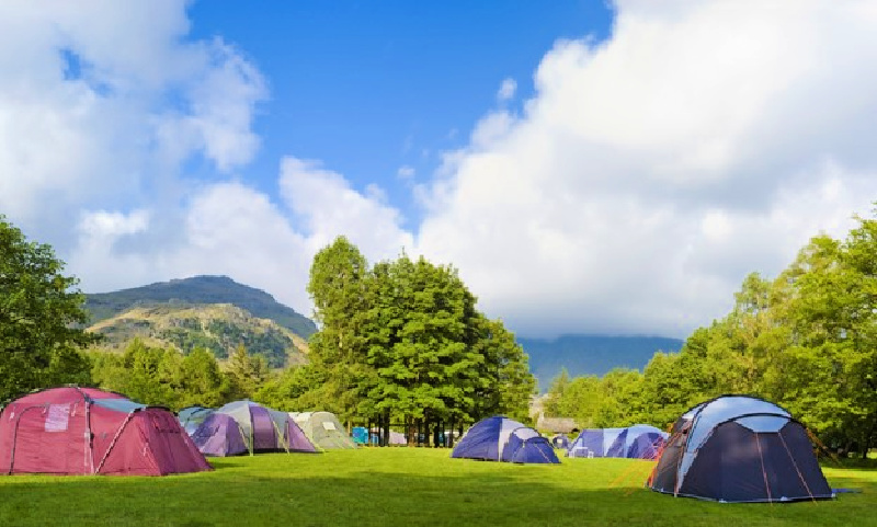 Going Green: How Eco-Friendly Accommodations Can Benefit Your Campground