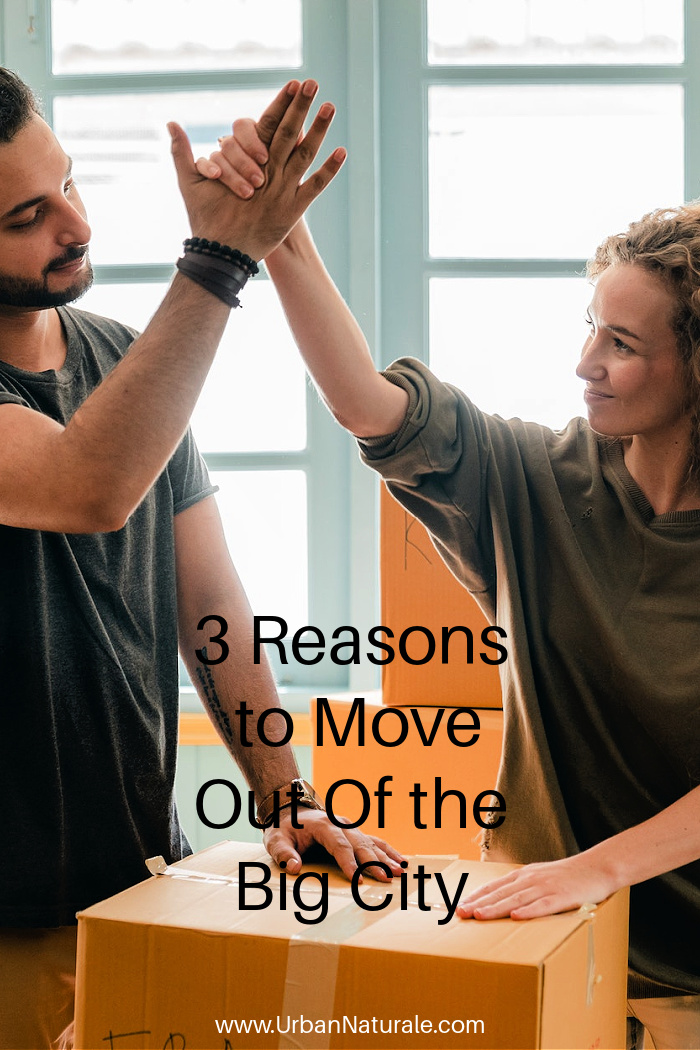 3 Reasons to Move Out Of the Big City - Many people opt to move to smaller towns each year for various reasons. Are you feeling the urge to move from a big city to a smaller town or suburb? Here are 3 reasons that might convince you. #moving  #movingfromcity  #movingtosmalltowns  