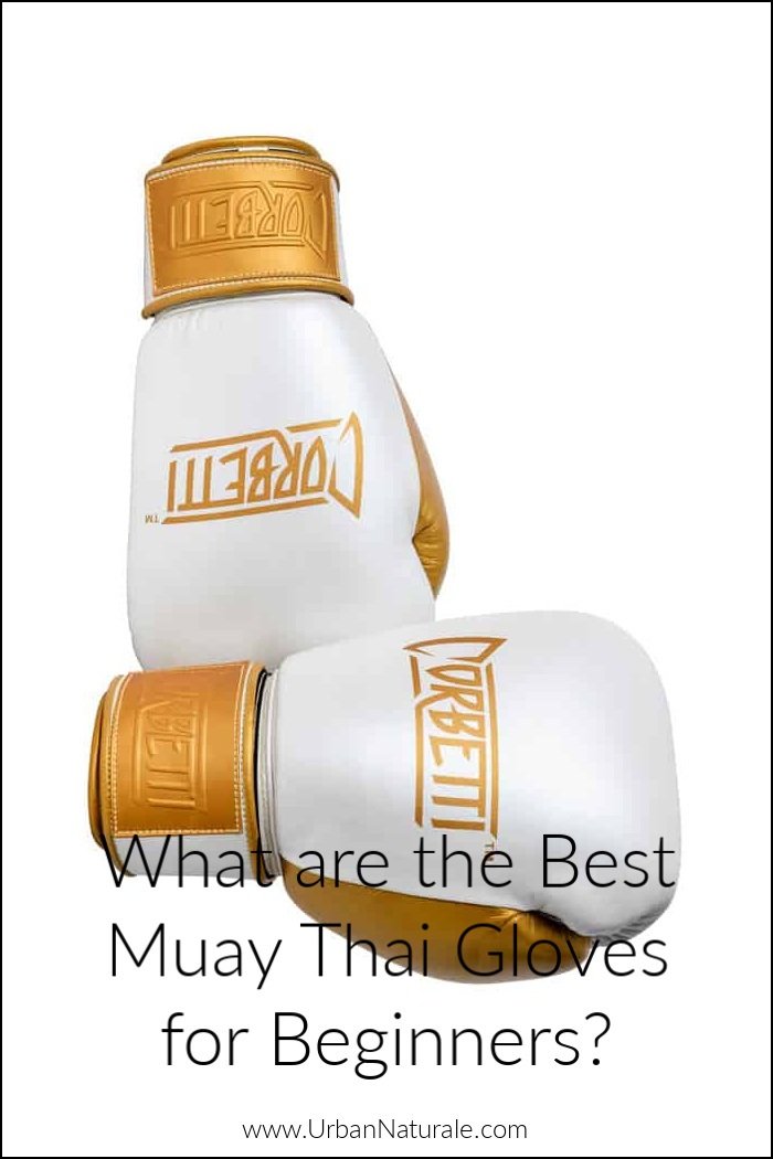 What are the Best Muay Thai Gloves for Beginners?  Choosing the right pair of gloves for beginner Muay Thai training can make all the difference in terms of safety, comfort, and performance. By following these guidelines, you can choose the best beginner Muay Thai gloves for your training needs.  #muaythai  #muaythaigloves   #muaythaitraining  #sparring  