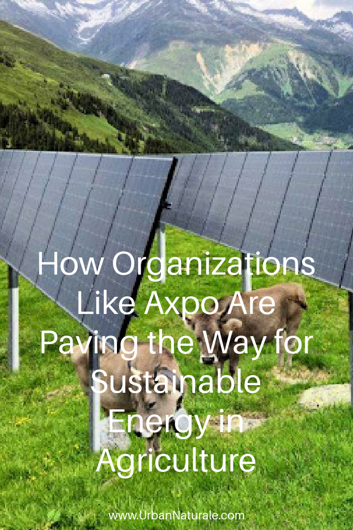 How Organizations Like Axpo Are Paving the Way for Sustainable Energy in Agriculture - Agri-photovoltaics bring together the best that agriculture and renewable energy production have to offer into a solution that aligns with the demands of the modern era. #agriculture  #sustainableenergy  #agriphotovoltaics