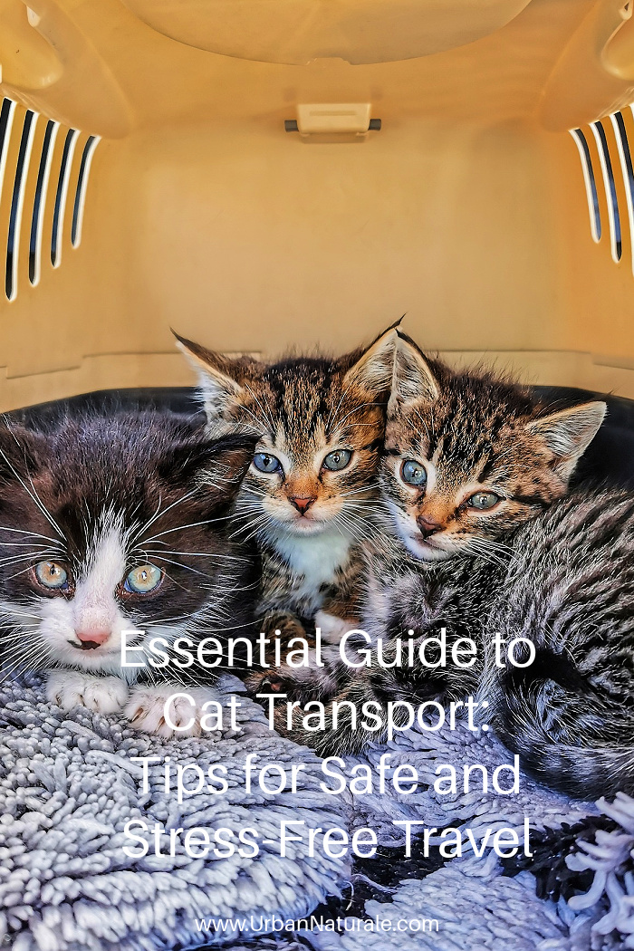 Essential Guide to Cat Transport: Tips for Safe and Stress-Free Travel - With proper planning and preparation, transporting your cat doesn't have to be a stressful experience. This guide will provide you with essential tips and advice to ensure a safe and stress-free journey for your beloved pet.  #cats #cattransport  #catcarrier  #travelingwithcats