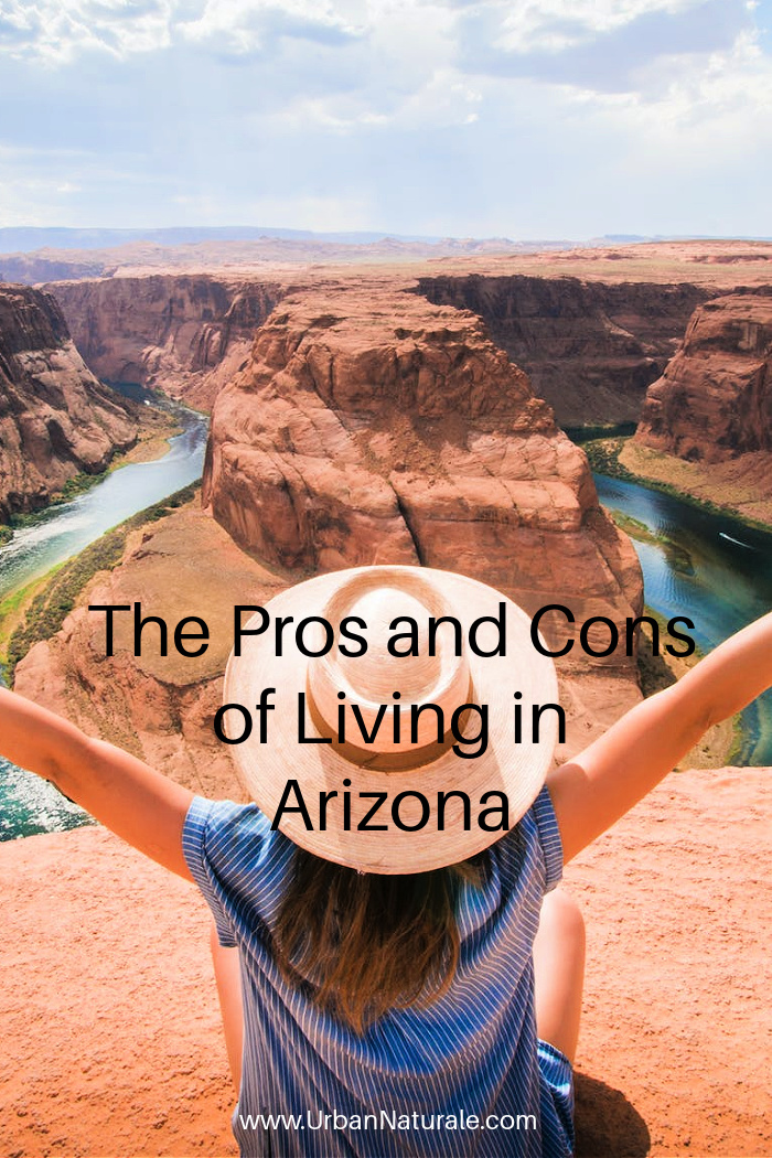 The Pros and Cons of Living in Arizona - Have you considered living in Arizona? You should think about both the benefits and the potential drawbacks when deciding whether you should live there.  #arizona  #livinginarizona  #southwest  