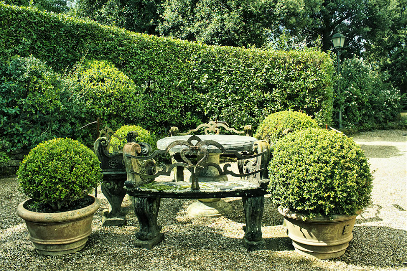 5 Things to Know When Decorating Your Yard